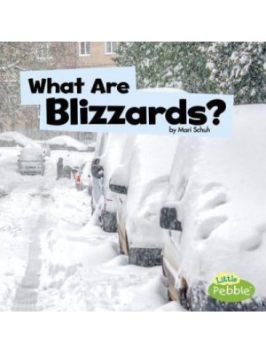 What Are Blizzards? - Little Pebble. Wicked Weather