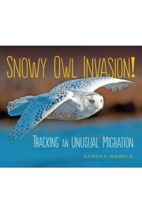 Snowy Owl Invasion! Tracking an Unusual Migration - Sandra Markle's Science Discoveries