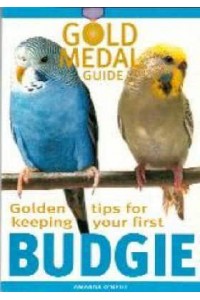 Golden Tips for Keeping Your First Budgie - Gold Medal Guide