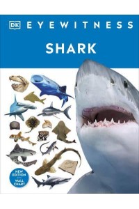 Shark - Eyewitness
