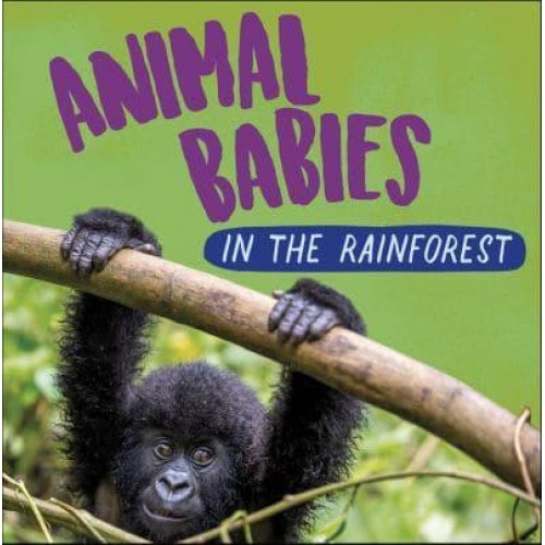 Animal Babies in the Rainforest - Animal Babies