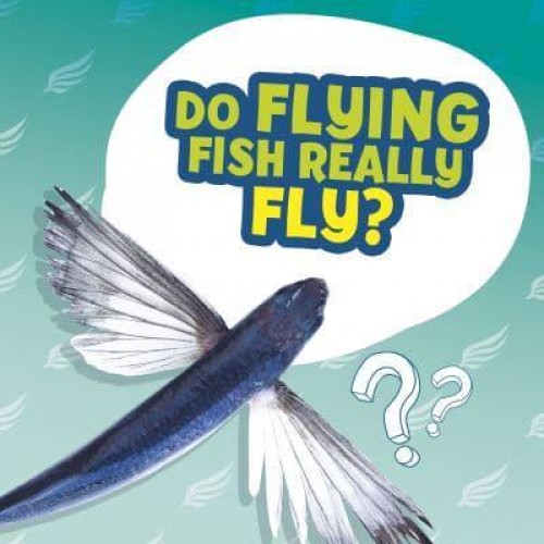 Do Flying Fish Really Fly? - Amazing Animal Q&As