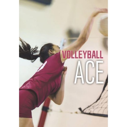 Volleyball Ace - Sport Adventures