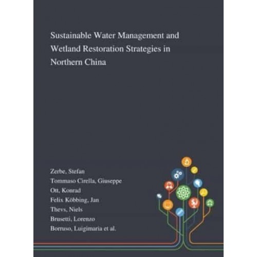 Sustainable Water Management and Wetland Restoration Strategies in Northern China