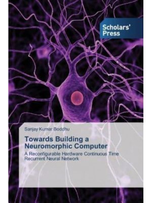 Towards Building a Neuromorphic Computer