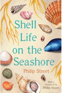 Shell Life on the Seashore