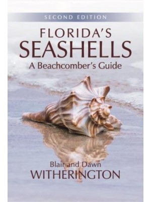Florida's Seashells A Beachcomber's Guide