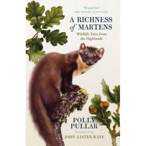 A Richness of Martens Wildlife Tales from Arnamurchan