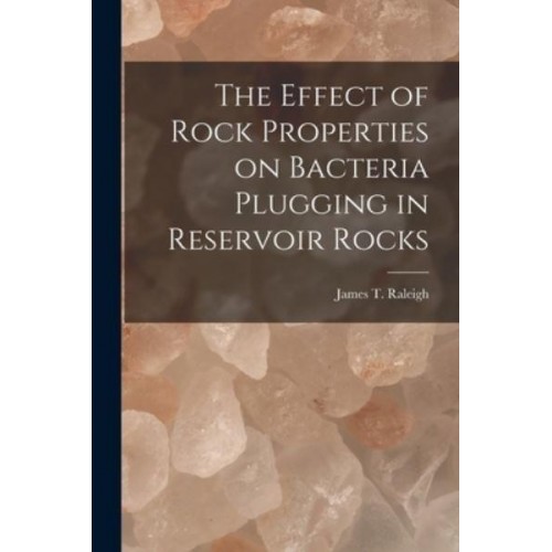 The Effect of Rock Properties on Bacteria Plugging in Reservoir Rocks