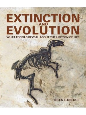 Extinction and Evolution What Fossils Reveal About the History of Life