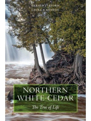 Northern White-Cedar The Tree of Life