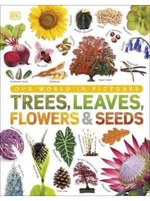 Trees, Leaves, Flowers & Seeds A Visual Encyclopedia of the Plant Kingdom