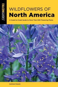 Wildflowers of North America A Coast-to-Coast Guide to More Than 500 Flowering Plants