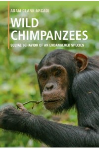 Wild Chimpanzees Social Behaviour of an Endangered Species