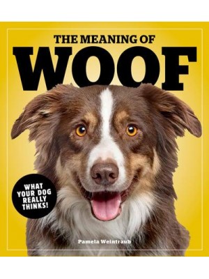 The Meaning Of Woof What Your Dog Really Thinks!