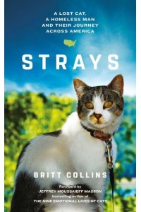Strays The True Story of a Lost Cat, a Homeless Man and Their Journey Across America