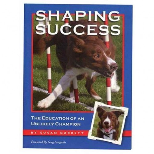 Shaping Success