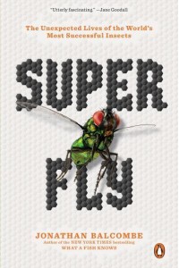 Super Fly The Unexpected Lives of the World's Most Successful Insects