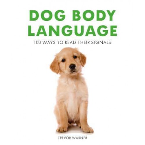 Dog Body Language 100 Ways to Read Their Signals