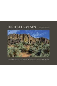 Beautiful Wounds A Search for Solace and Light in Washington's Channeled Scablands