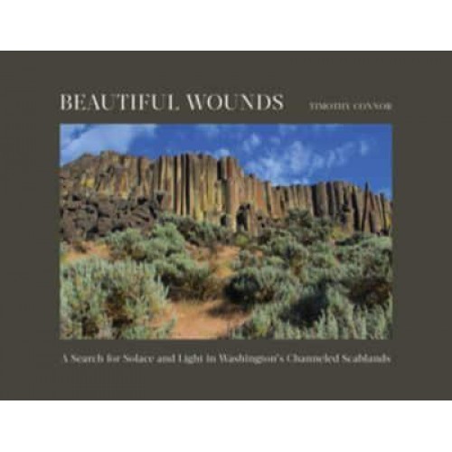 Beautiful Wounds A Search for Solace and Light in Washington's Channeled Scablands