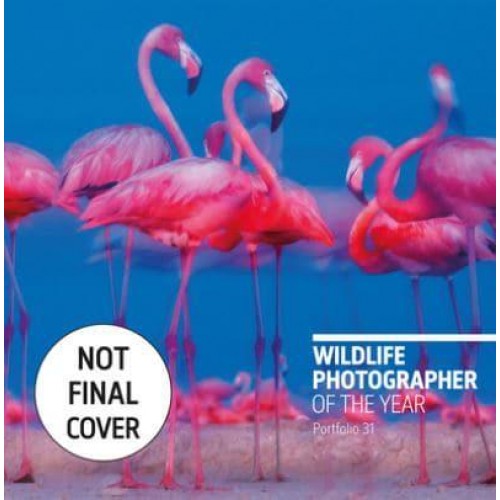 Wildlife Photographer of the Year. Portfolio 31 - Wildlife Photographer of the Year
