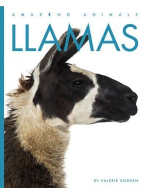 Llamas - Amazing Animals