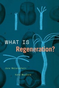 What Is Regeneration? - Convening Science. Discovery at the Marine Biological Laboratory