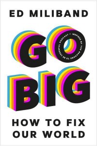 Go Big How to Fix Our World