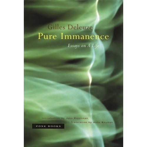 Pure Immanence Essays on a Life