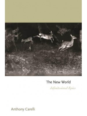 The New World Infinitesimal Epics - Princeton Series of Contemporary Poets