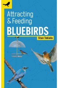 Attracting & Feeding Bluebirds - Backyard Bird Feeding Guides