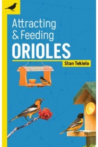 Attracting & Feeding Orioles - Backyard Bird Feeding Guides