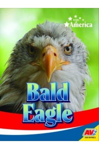 Bald Eagle - Icons of America