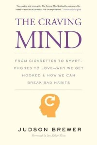 The Craving Mind From Cigarettes to Smartphones to Love : Why We Get Hooked and How We Can Break Bad Habits