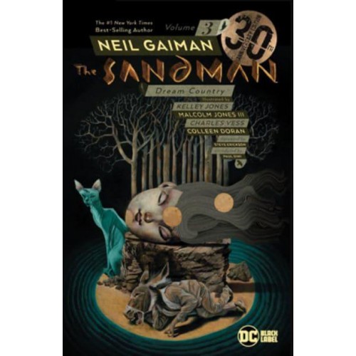 Sandman Volume 3 - The Sandman