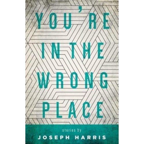 You're in the Wrong Place Stories - Made in Michigan Writers Series